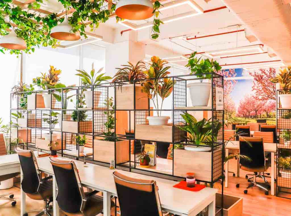 The Rise of Co-Working in Chittorgarh